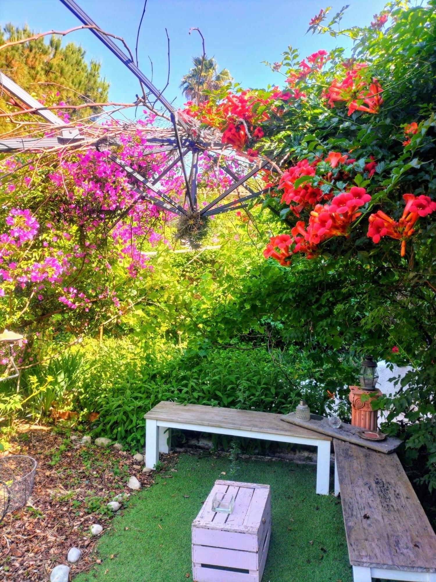 نيس Villa Bellabe المظهر الخارجي الصورة