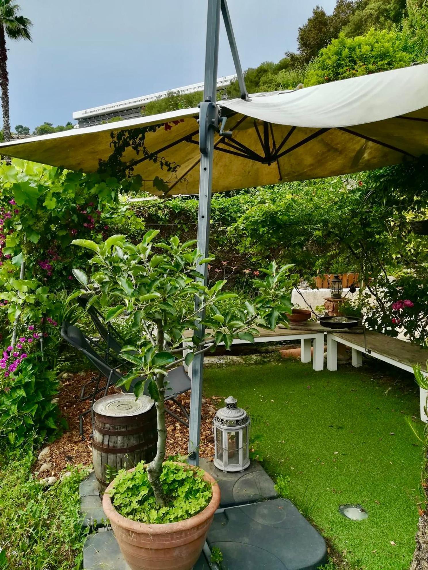 نيس Villa Bellabe المظهر الخارجي الصورة