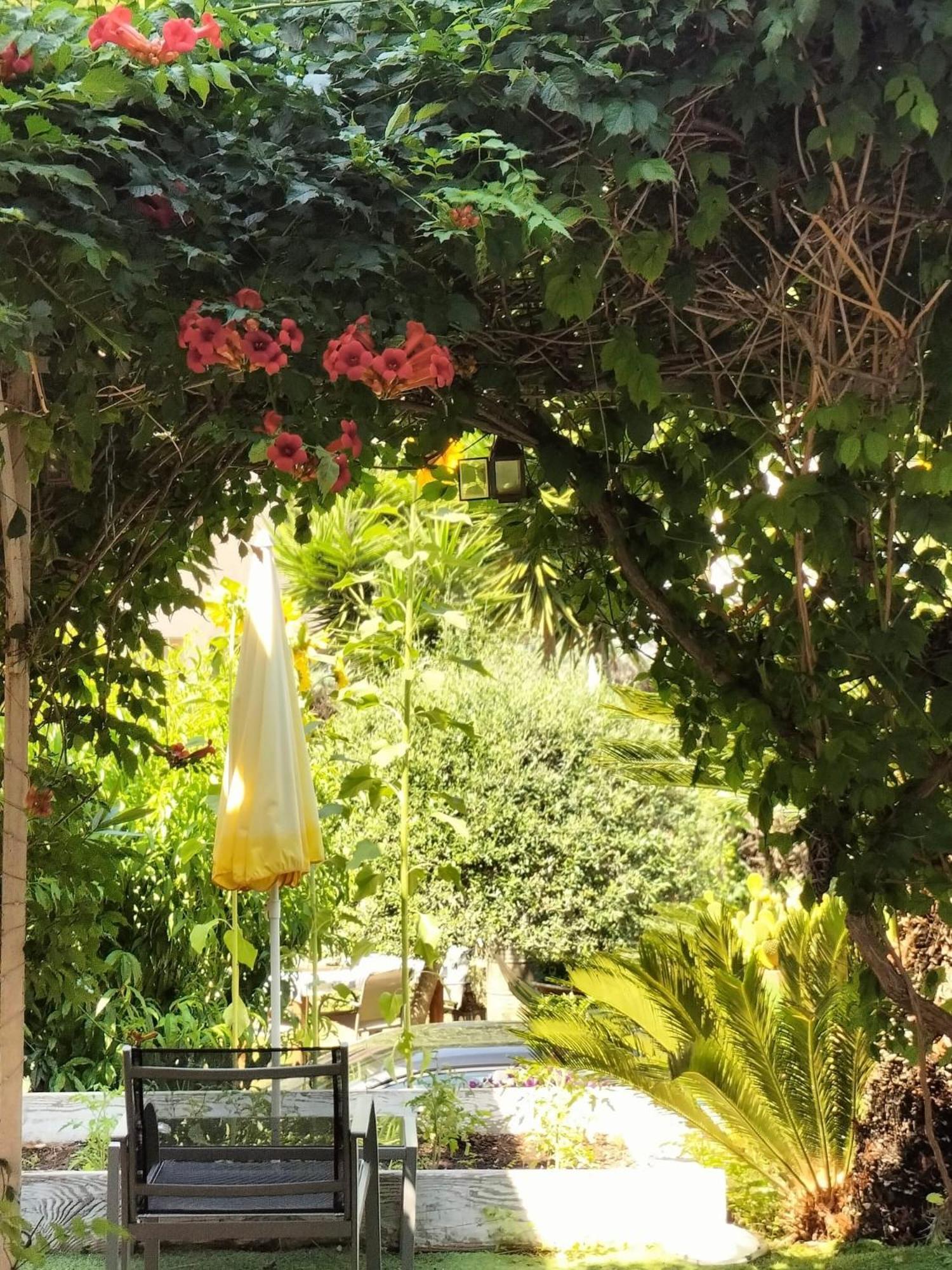 نيس Villa Bellabe المظهر الخارجي الصورة